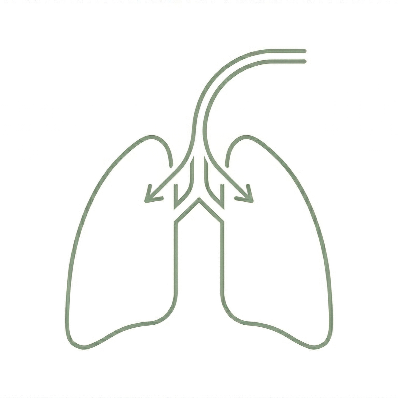 icon of inhaling into lungs