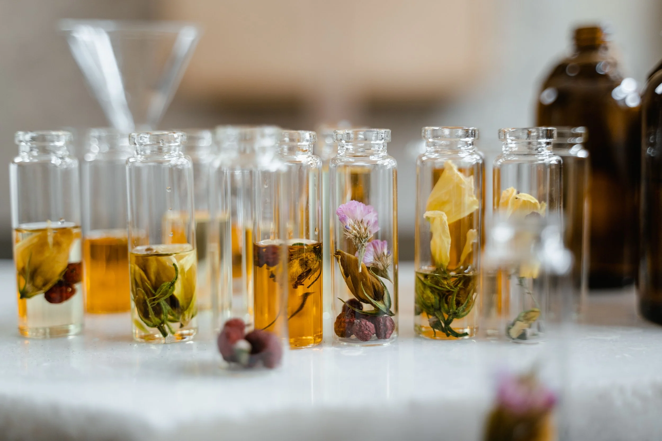 Botanical materials and extracts arranged in laboratory vials