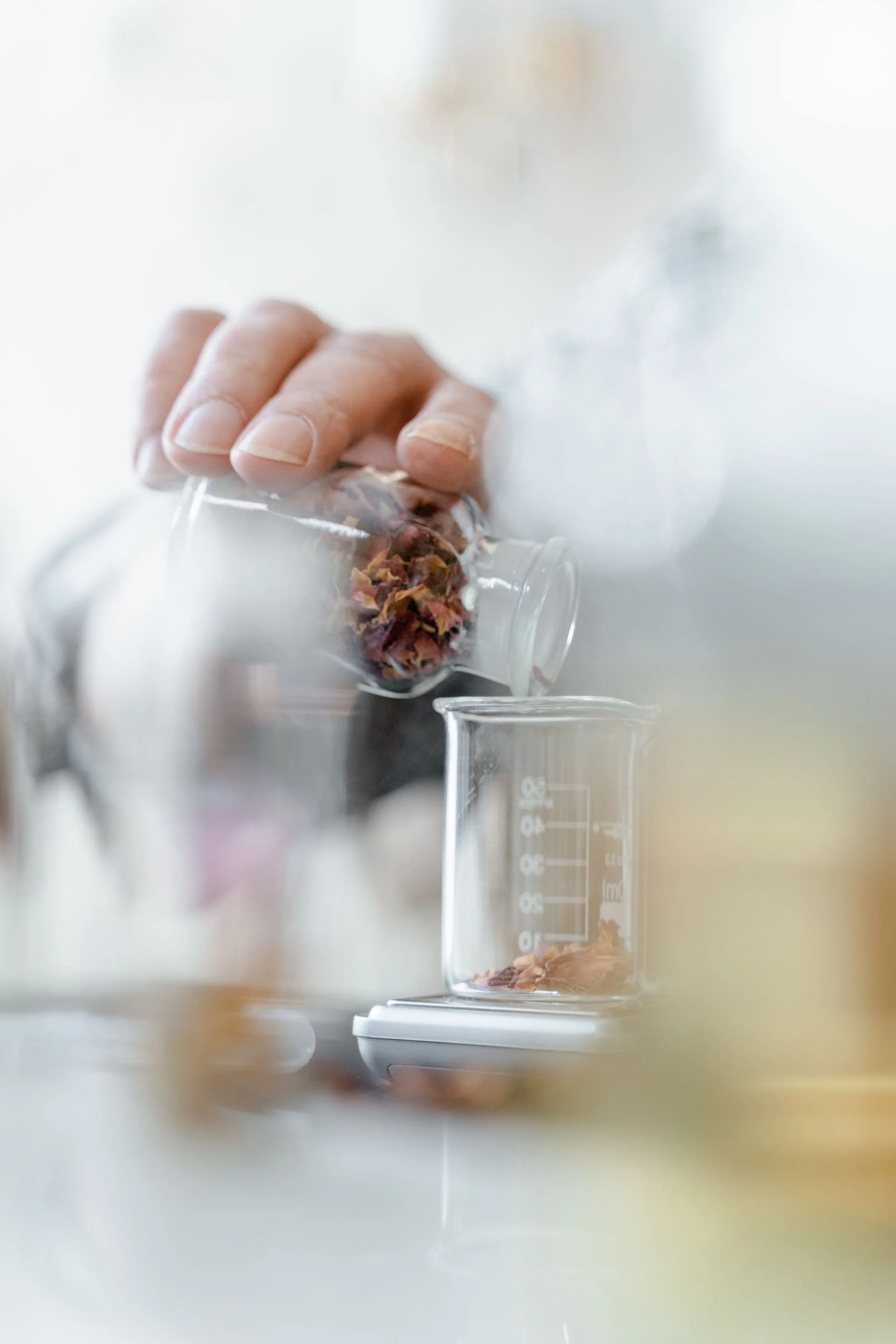 Botanical material being weighed for evaluation