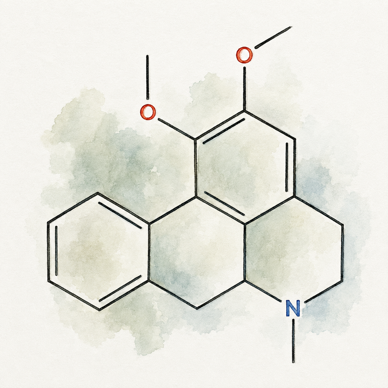 Watercolor illustration of the nuciferine molecular structure
