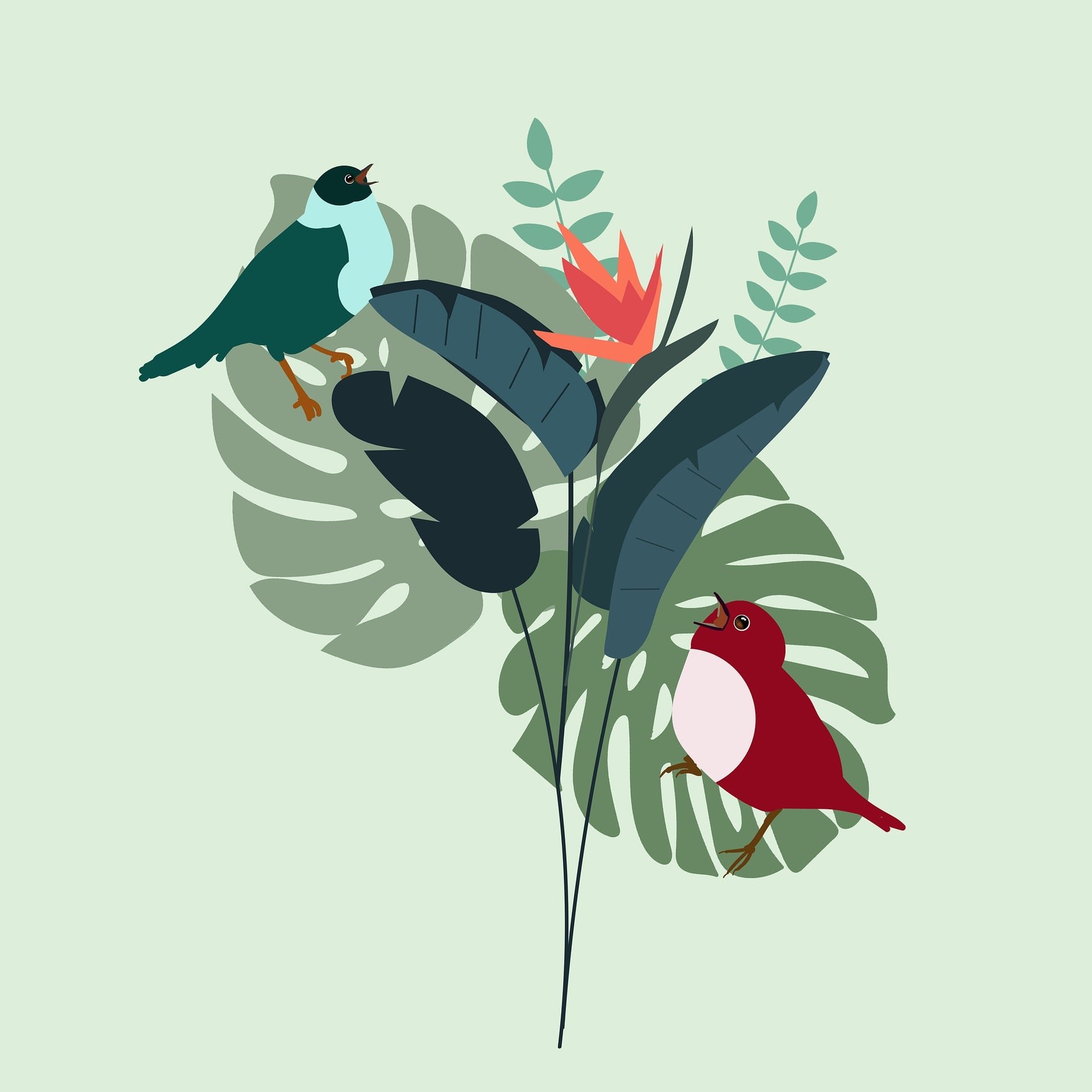 Stylized illustration of two colorful birds perched among large tropical leaves and orange flowers on a pale green background.
