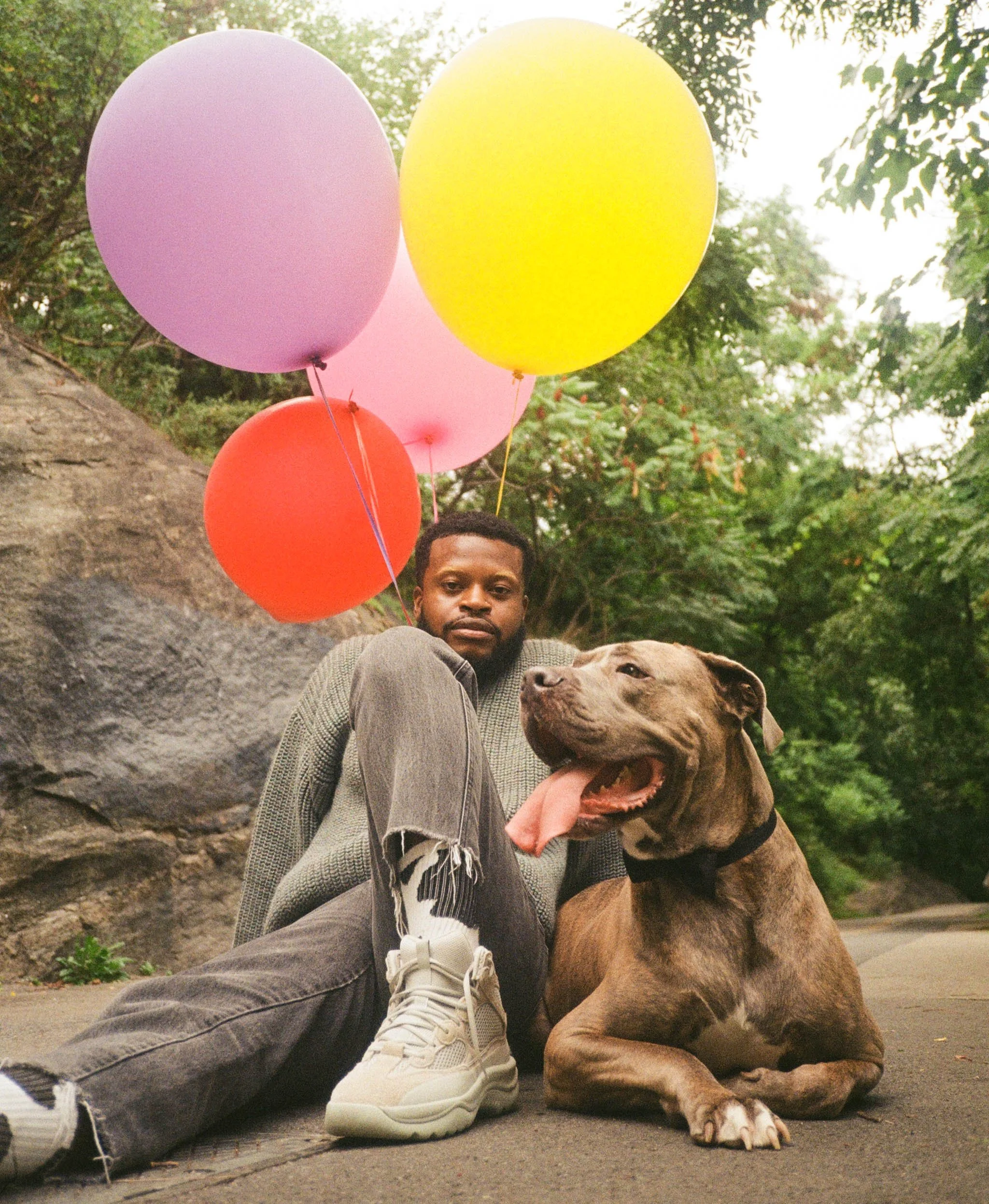 A person sitting on the ground outdoors with a large brown dog. They are surrounded by colorful balloons in pink, yellow, and orange. The background includes green trees and a rocky surface.