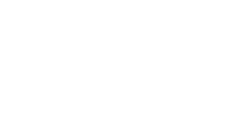 Luncheon