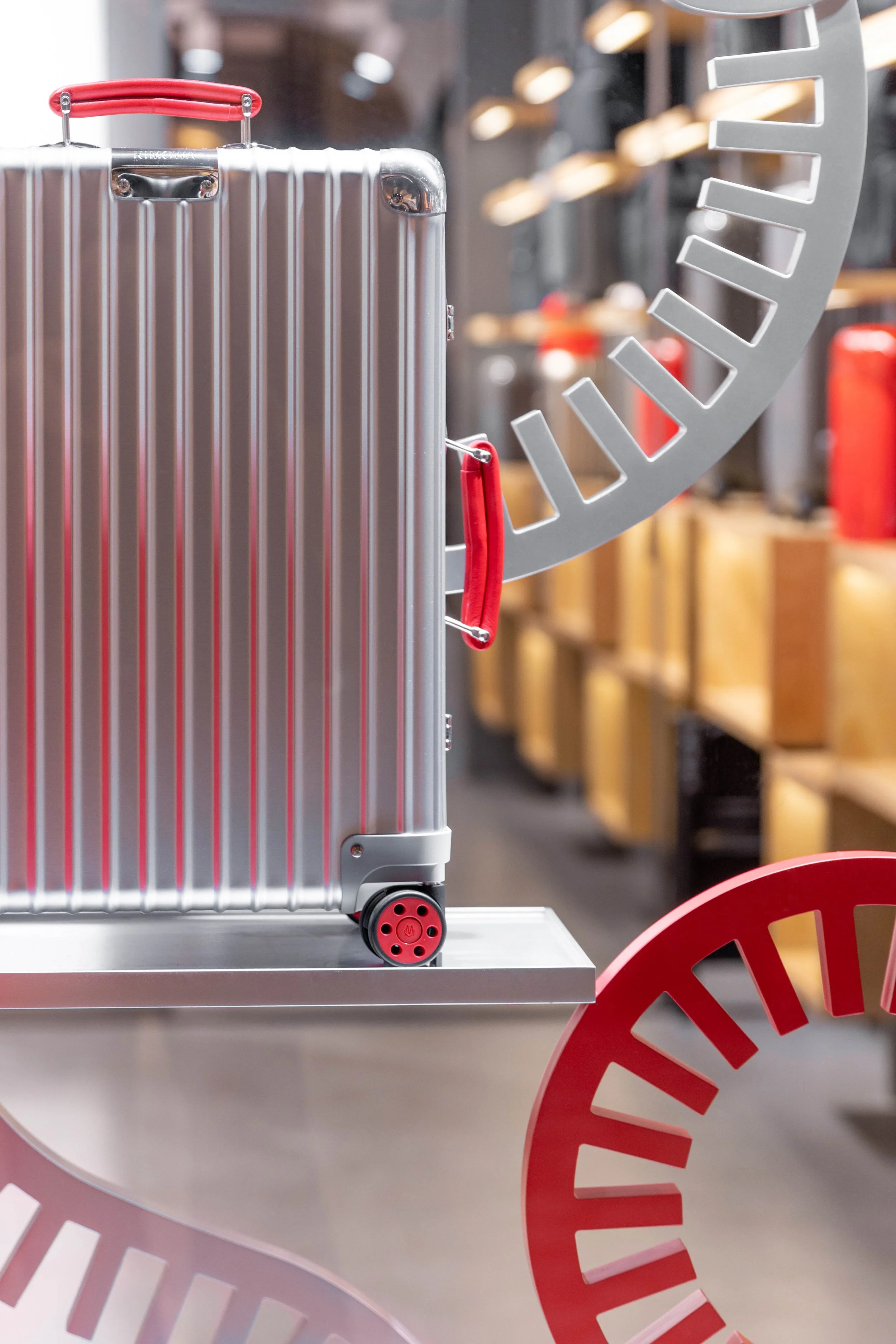 BLOOPBLOOP_RIMOWA_SNAKE_CH-14.jpg