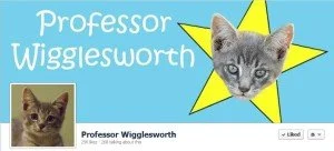 Professor Wigglesworth: Using Social Media to Adopt a Special Needs Kitten
