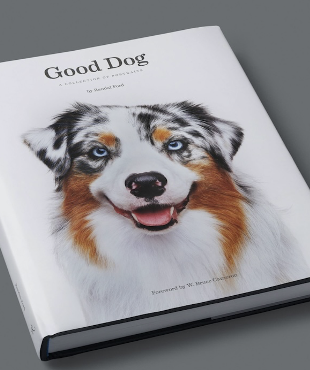 Cover of a book titled "Good Dog" featuring a smiling Australian Shepherd dog with blue eyes and a tricolor coat of black, white, and brown.