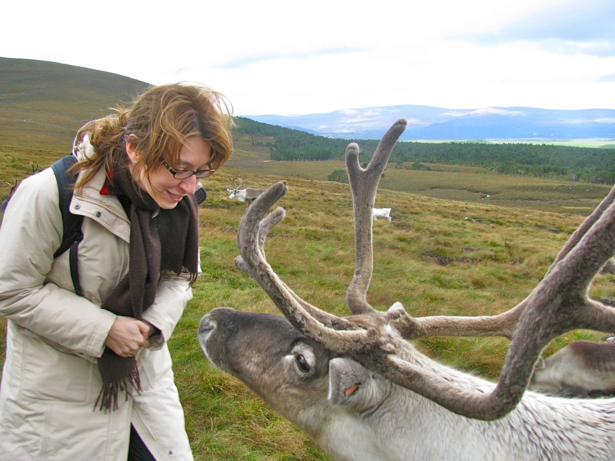 Patricia Jones smiling and interacting with a gray reindeer.
