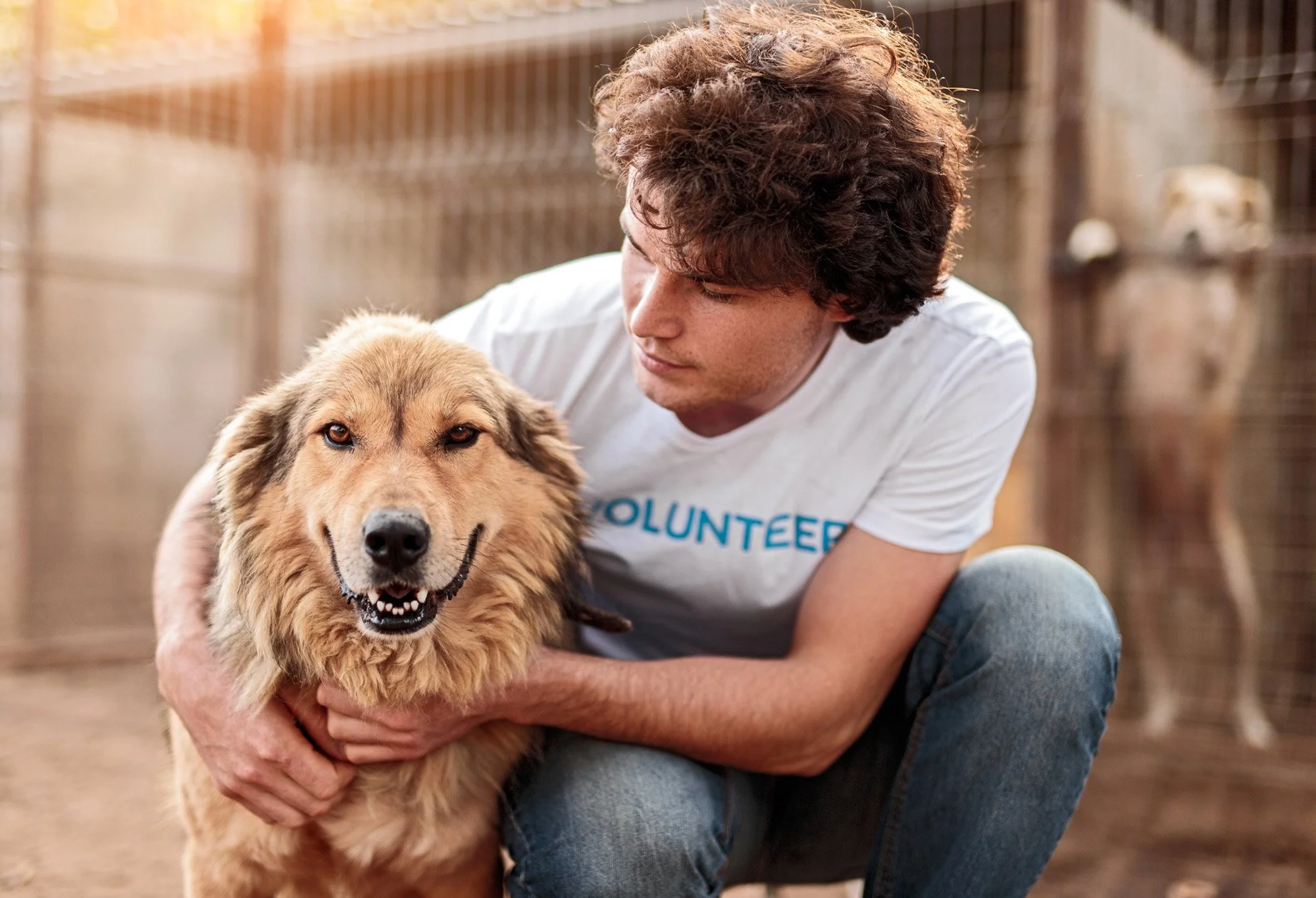 Animal shelter volunteer — Paws PR farm animal and animal welfare PR campaigns