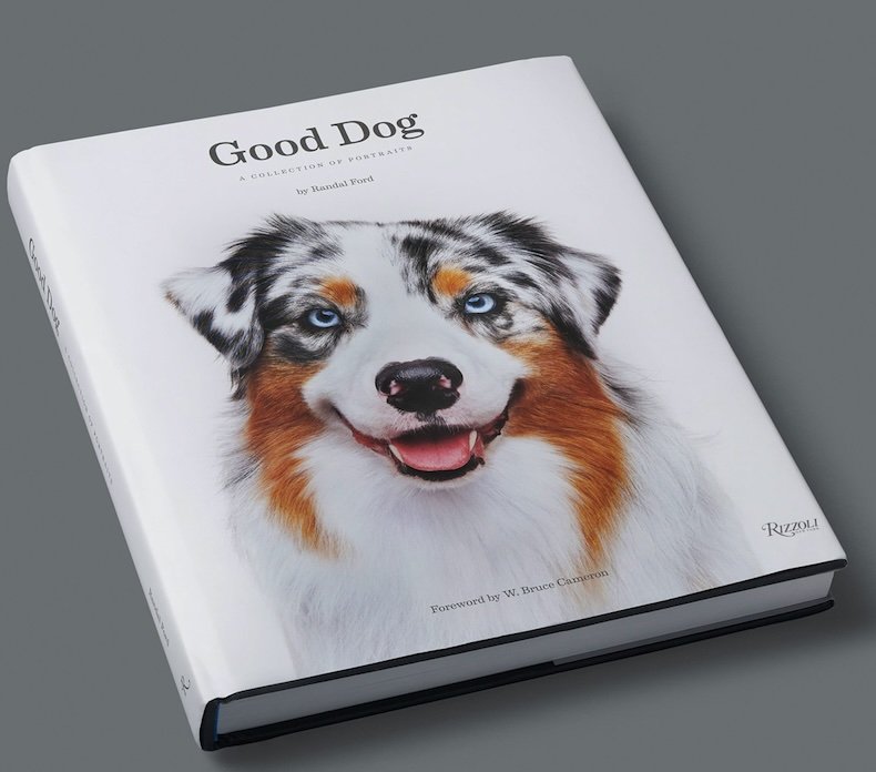 Good Dog