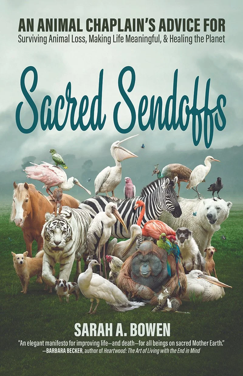 Sacred Sendoffs book cover by Marc Bekoff PhD — Paws PR animal book PR featured in Psychology Today