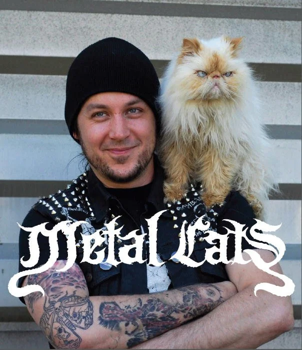 Metal Cats book cover by Alexandra Crockett — Paws PR pet book publicity campaign featured on TODAY.com