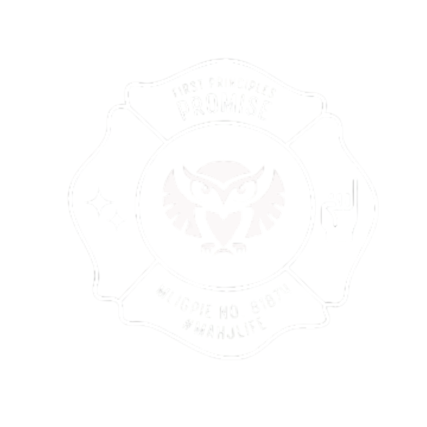 Official logo of Overwatch, a popular video game, featuring a stylized eagle with outstretched wings inside a circular shield, with the text 'Overwatch' at the top.