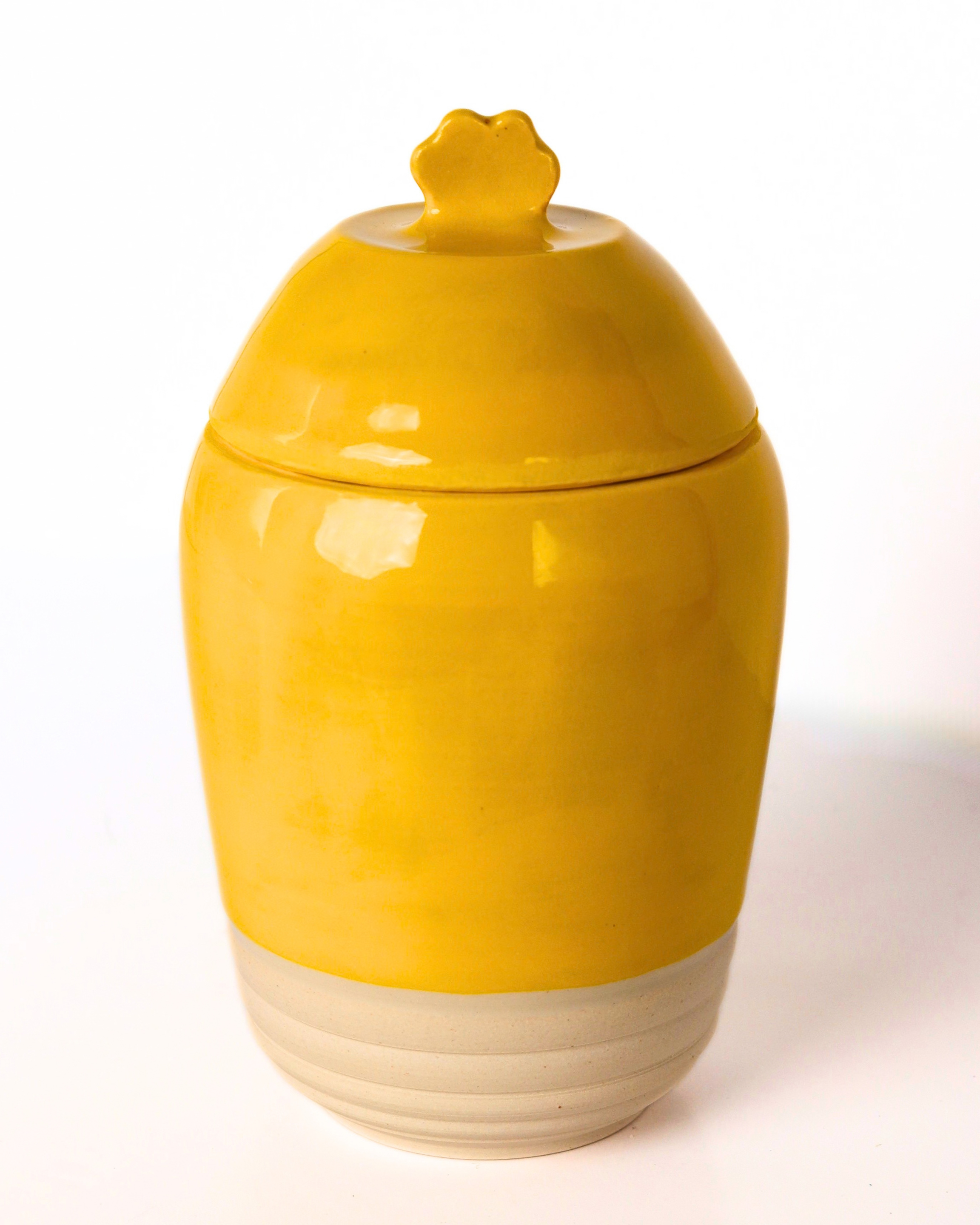Untitled design (29).png