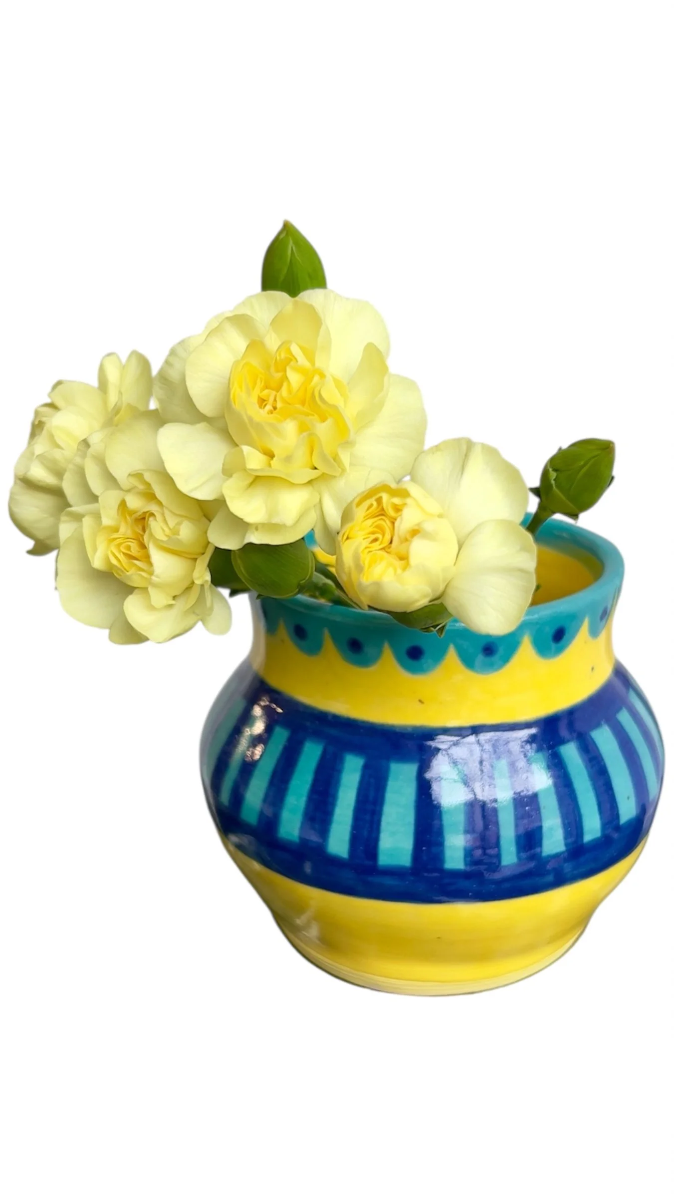 Photoroom_20250820_124728 2.JPG