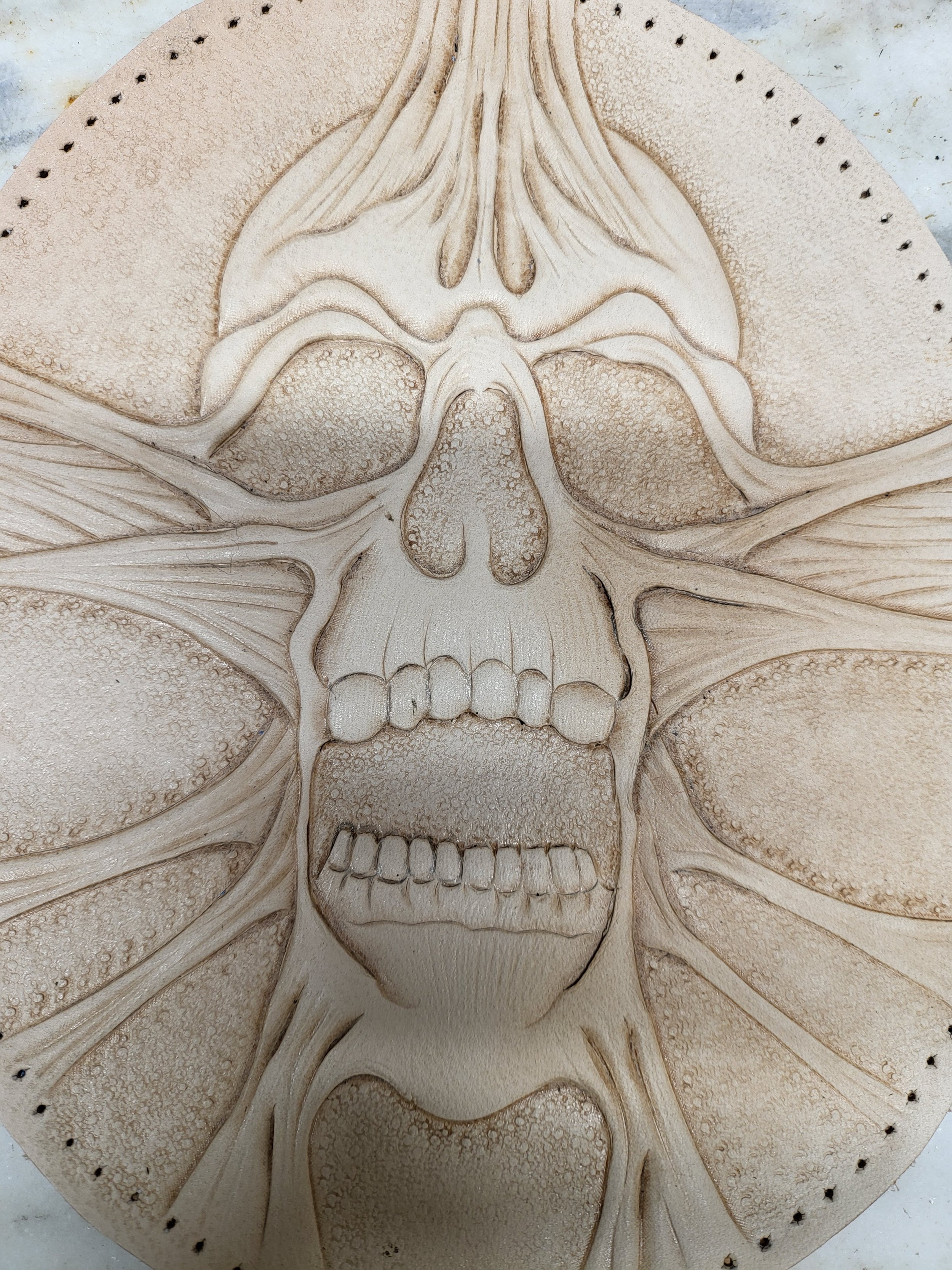 A light-colored, detailed drawing of a human skull with surrounding abstract lines and textures.