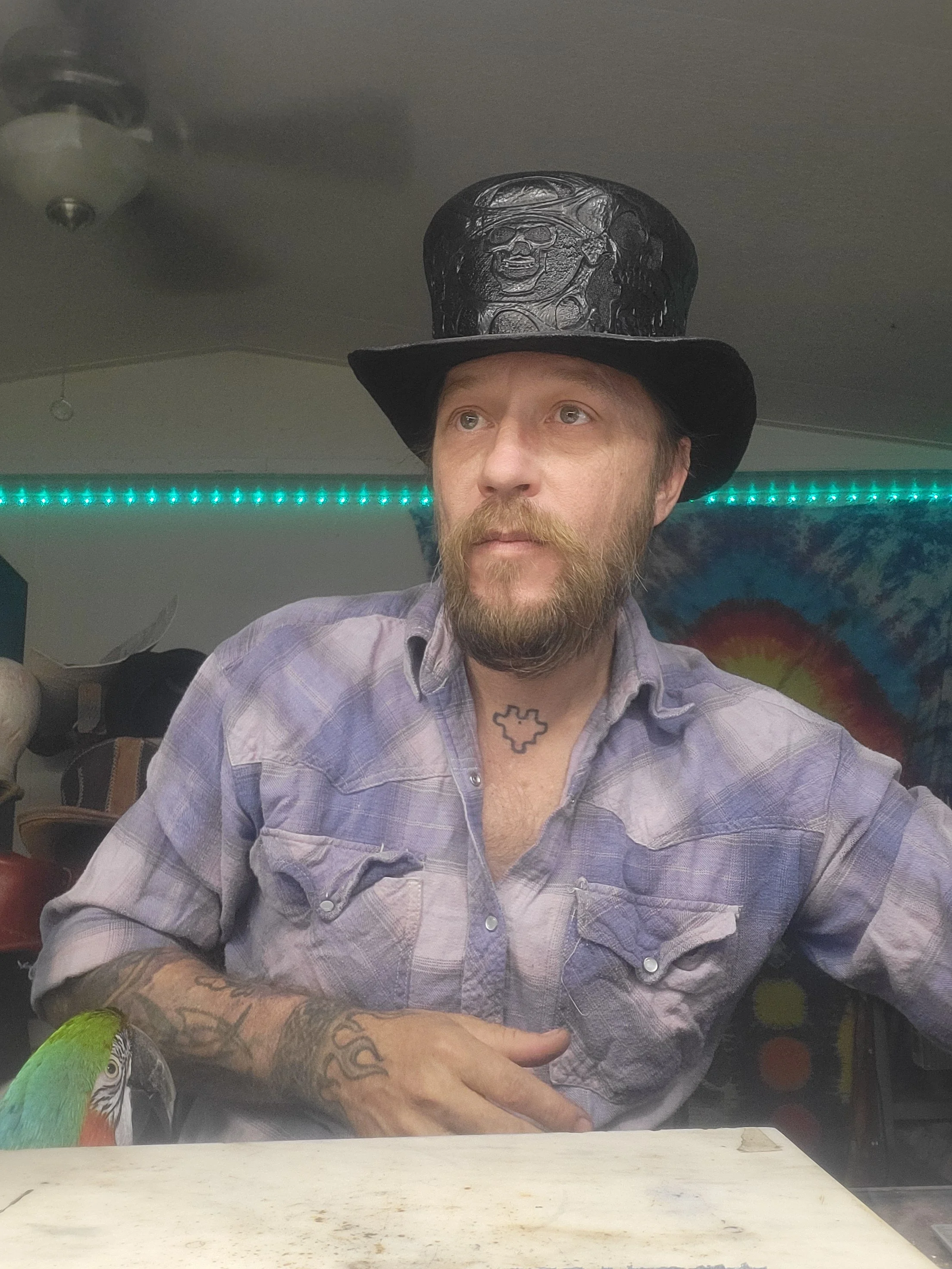 A man with a beard and tattoos wearing a purple plaid shirt and a black top hat, sitting at a table in a room decorated with a tie-dye tapestry and colorful lights.
