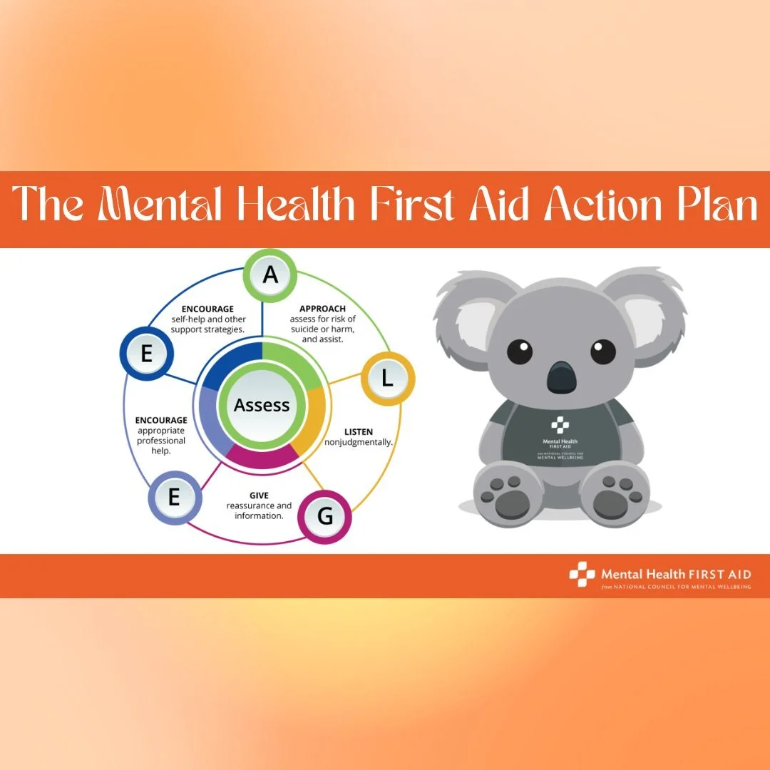 Thank you to Krista Zanfardino, LCSW, and Mariel Roth, LCSW-R, from @covecarecenter  for leading such an informative and engaging Adult Mental Health First Aid training at the Hub on Route 9 last Thursday.
We&rsquo;re grateful to everyone who showed 