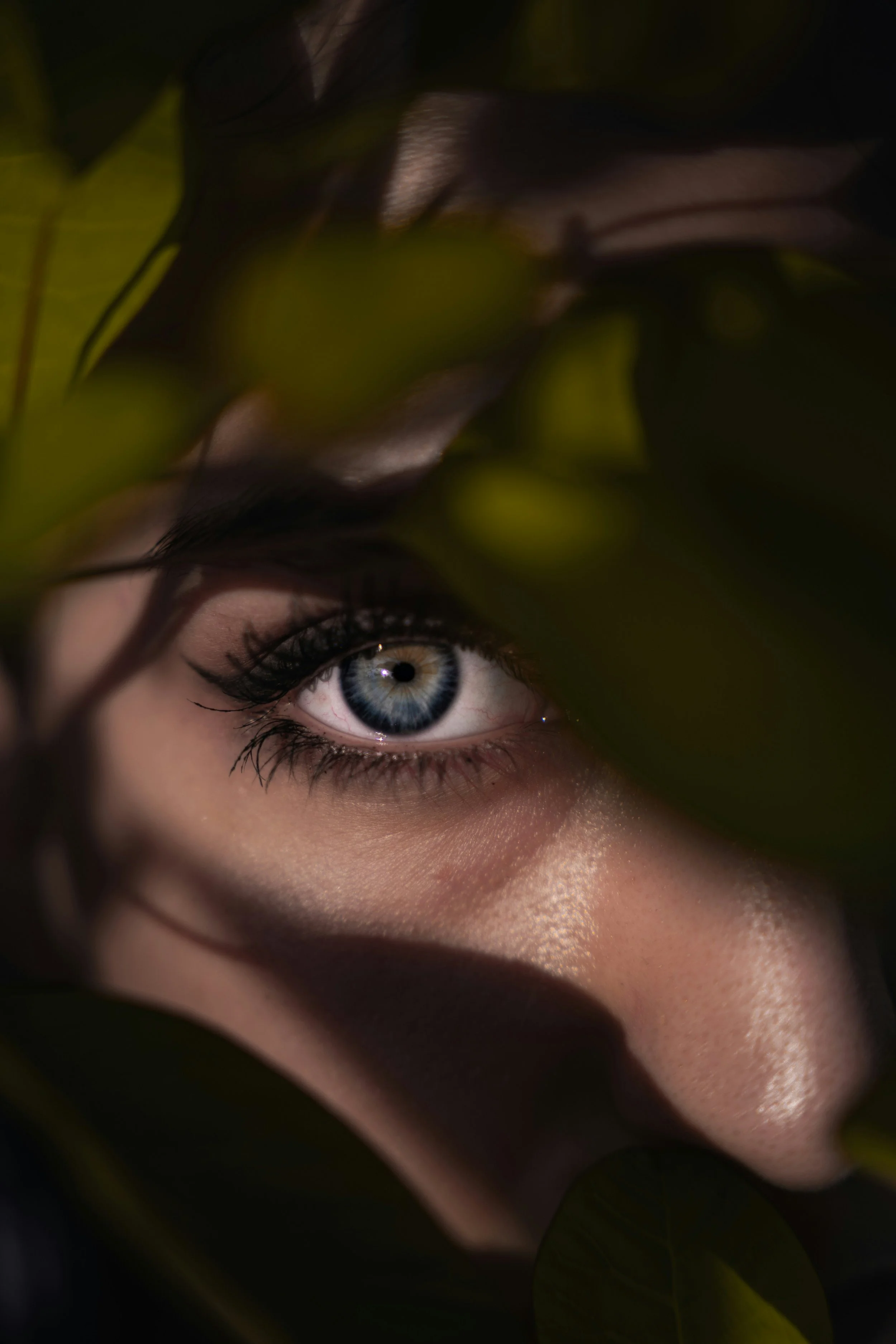 Close-up of a person's eye with blue iris and makeup, partially covered by green leaves in a dimly lit environment.