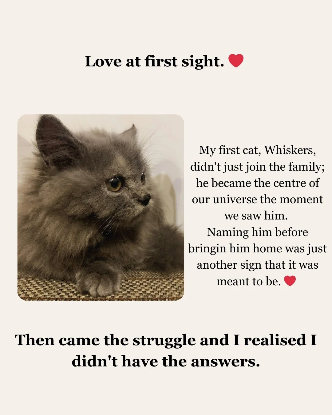 Whiskers changed everything. <3