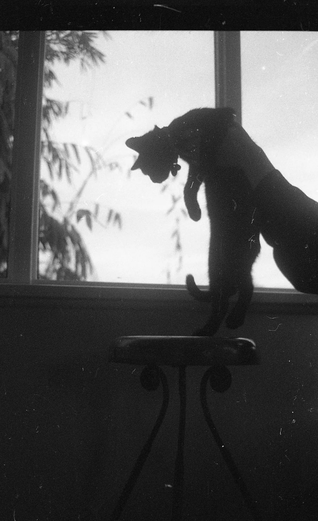 bnw027.jpg