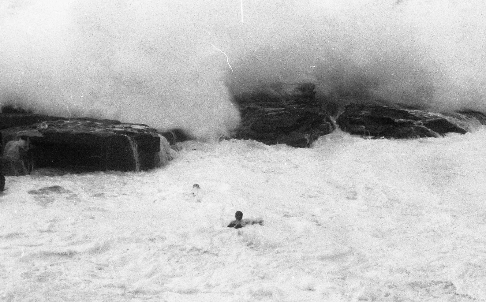 bnw065.jpg