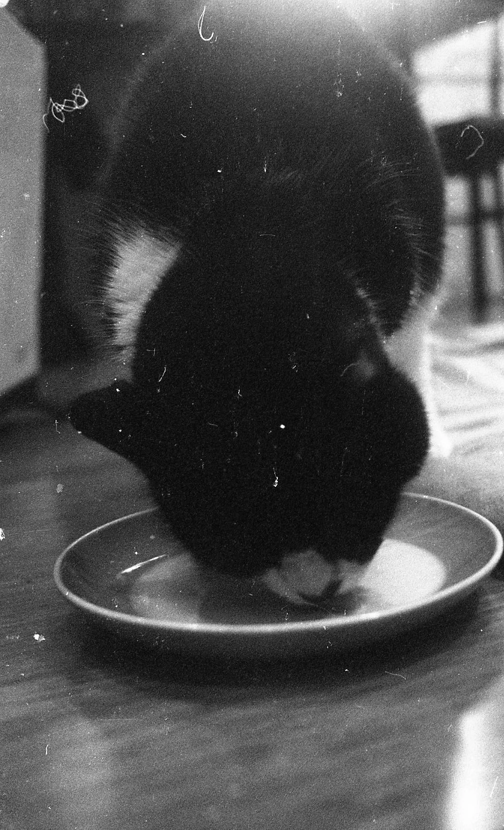 bnw050.jpg
