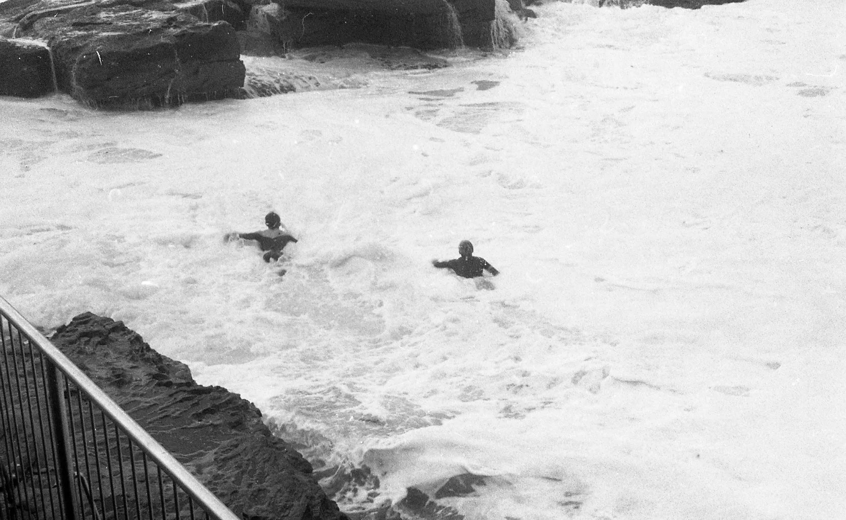 bnw081.jpg
