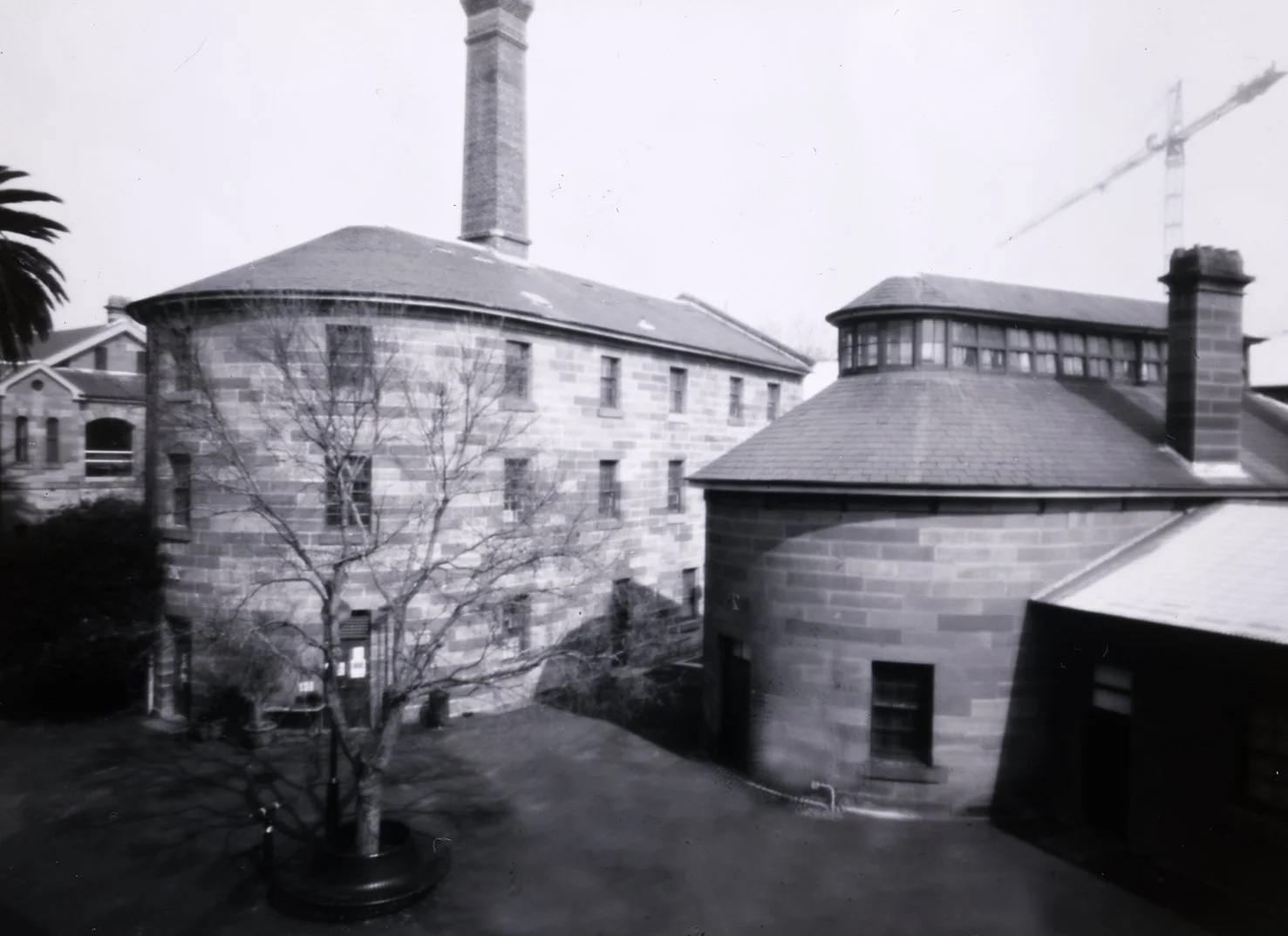 RC Negs019.jpg