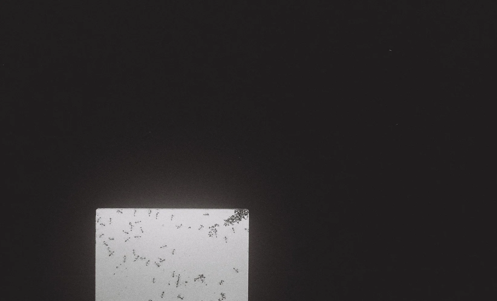 35mm-oct2019020-2.jpg