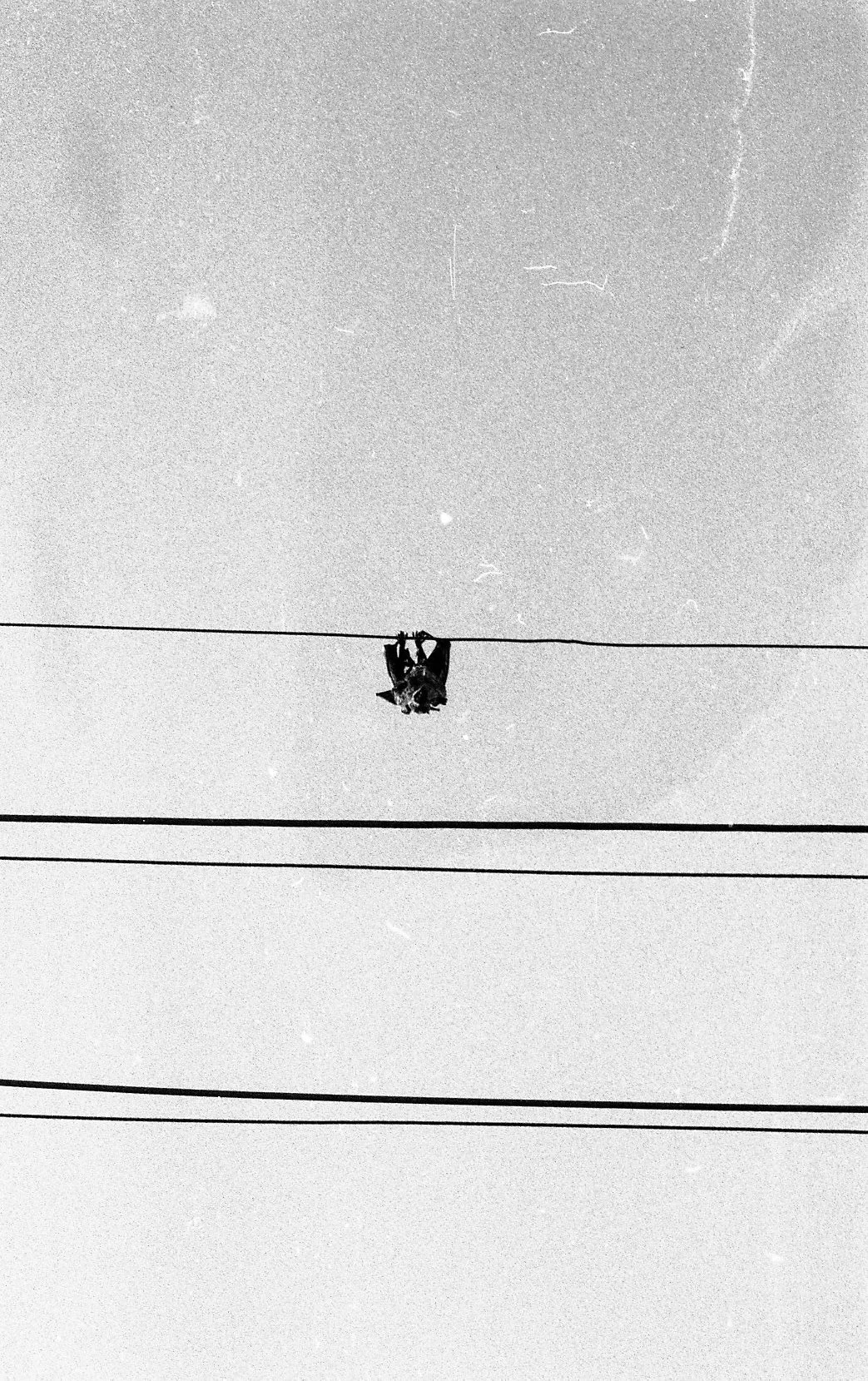 bnw020.jpg