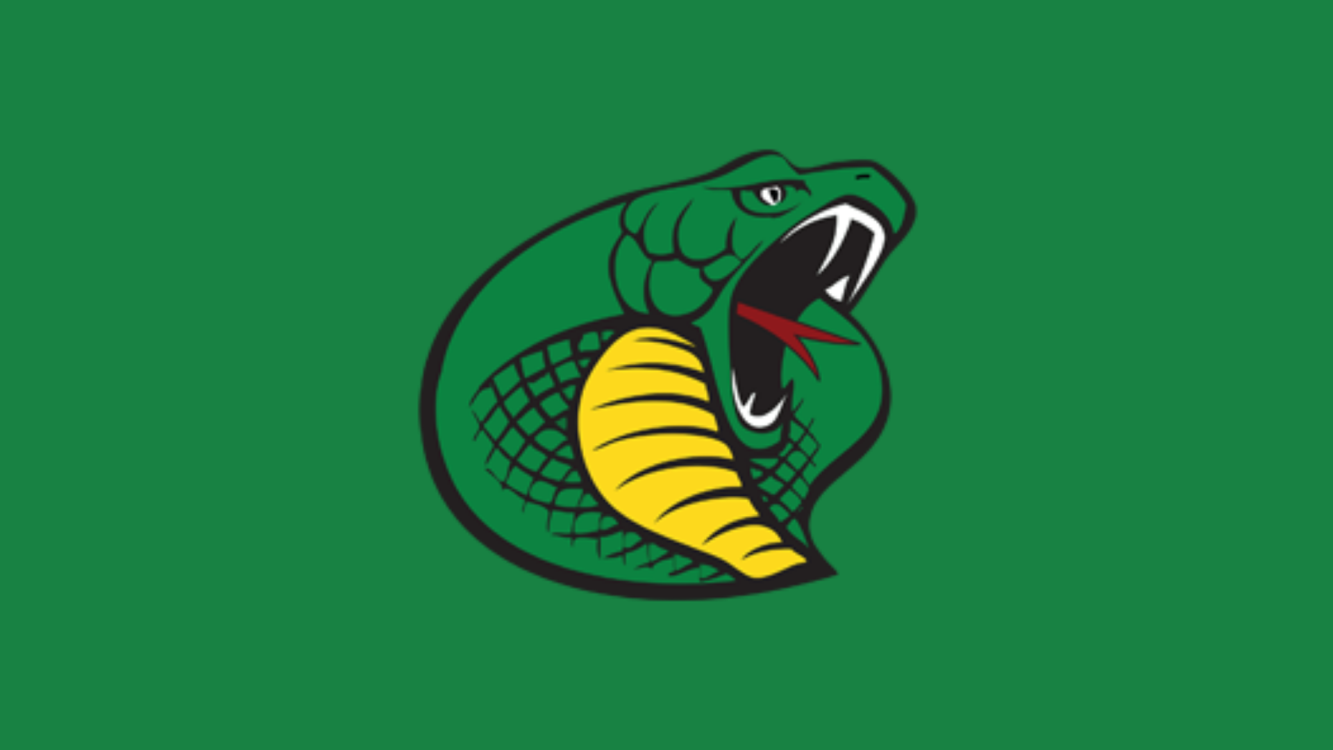 Parkland College Basketball