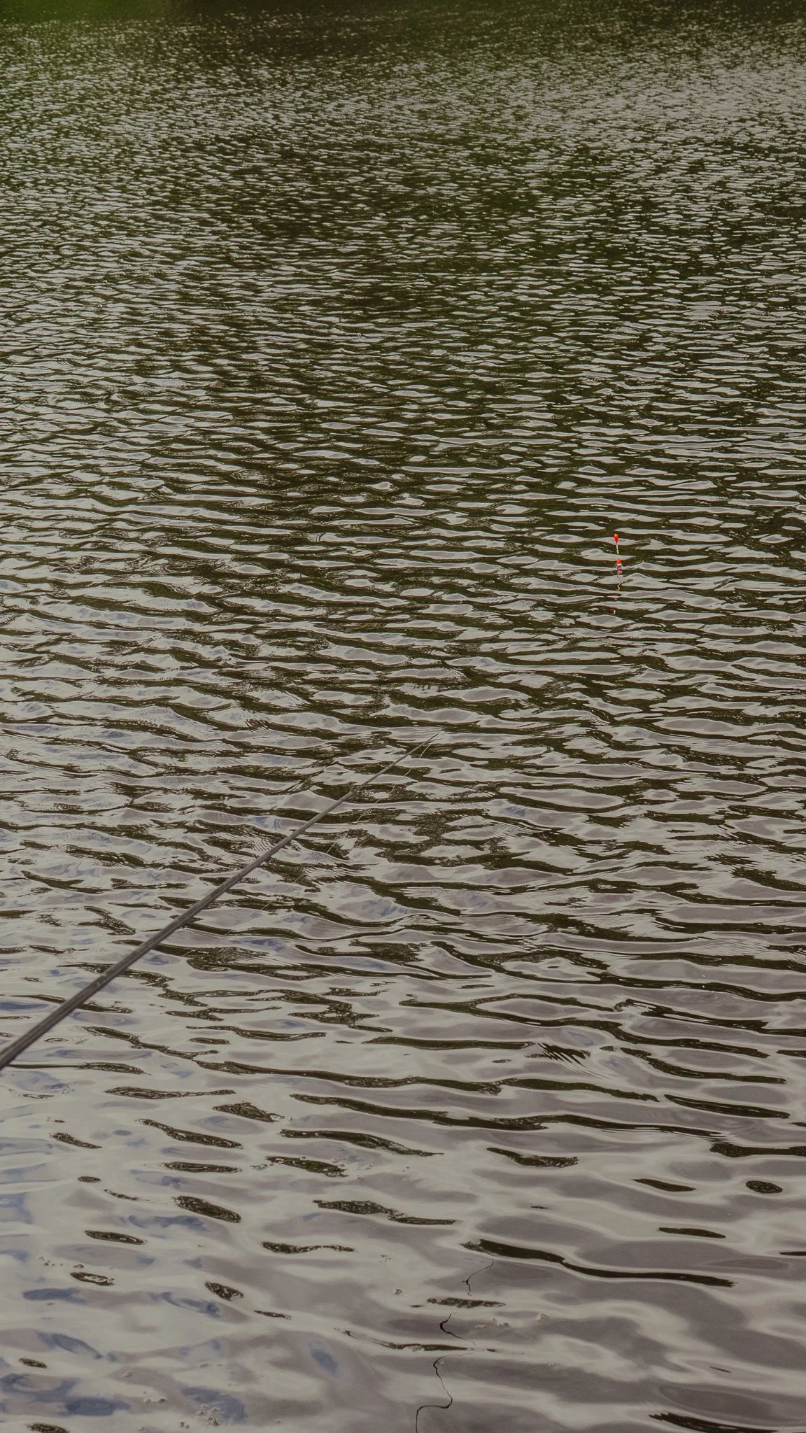 Blick auf Wasser mit kleinen Wellen, eine Angelsehne und eine rot-weiße Boje im Wasser.