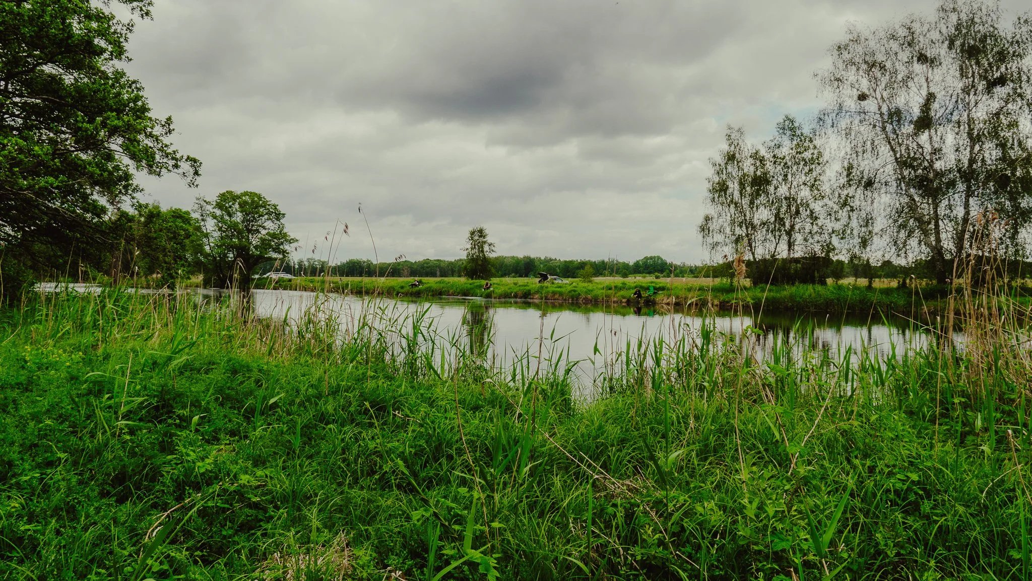 Grüne Wiese und Bäume neben einem ruhigen Fluss unter einem bewölkten Himmel