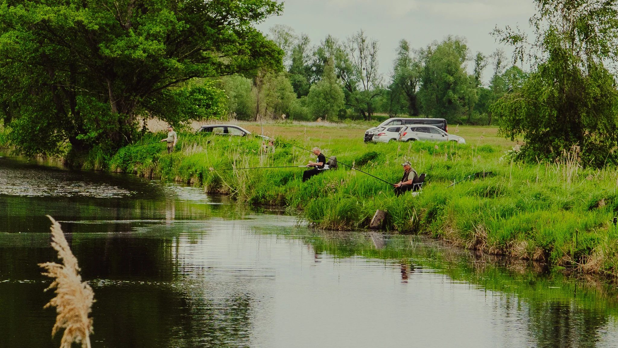 Menschen beim Angeln an einem Fluss in einer grünen, bewaldeten Umgebung, mit geparkten Autos im Hintergrund.