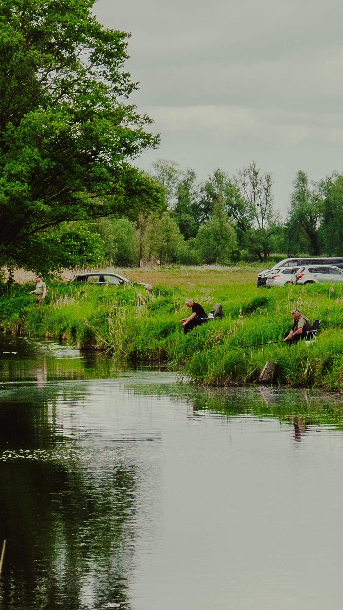Menschen sitzen und stehen am Ufer eines Flusses, angeln bei bewölktem Himmel, umgeben von grünen Bäumen und Wiesen, mit geparkten Autos im Hintergrund.