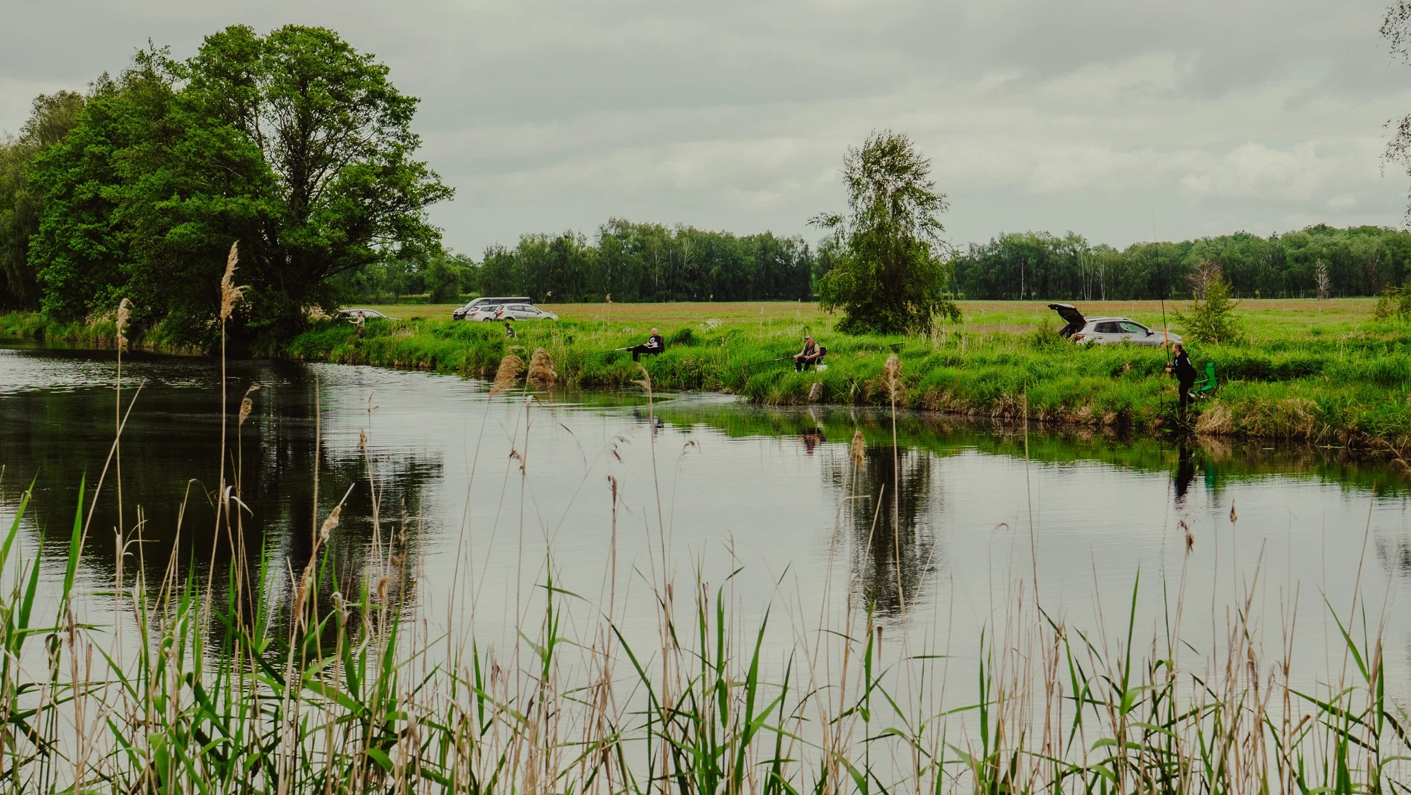 Menschen beim Angeln an einem Fluss in einer grünen Landschaft mit Bäumen, Autos im Hintergrund und Wolken am Himmel.
