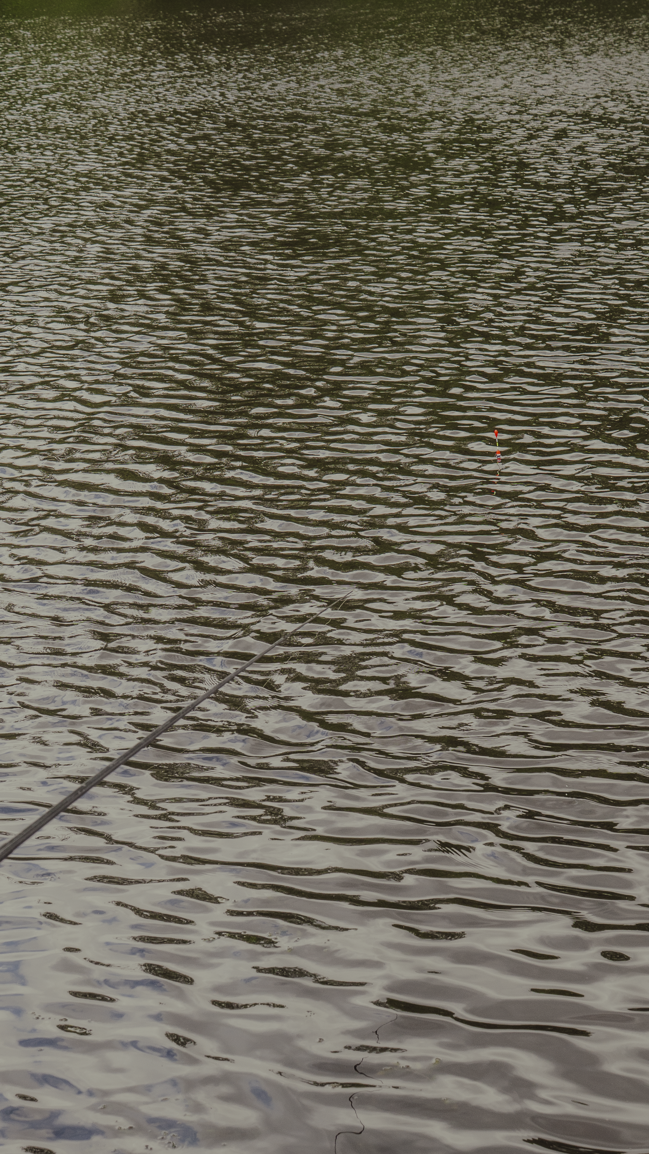 _1133770.png
