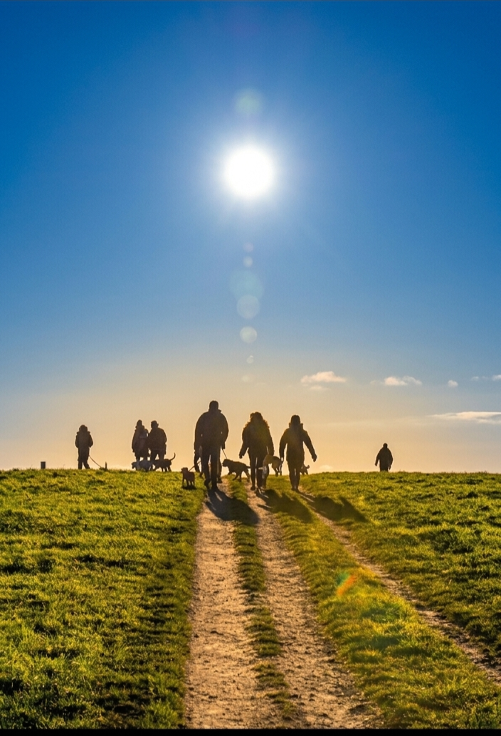 People walking and playing with dogs on a grassy hill during sunset or sunrise, with a dirt path leading up the hill, and the sun shining brightly in the sky.