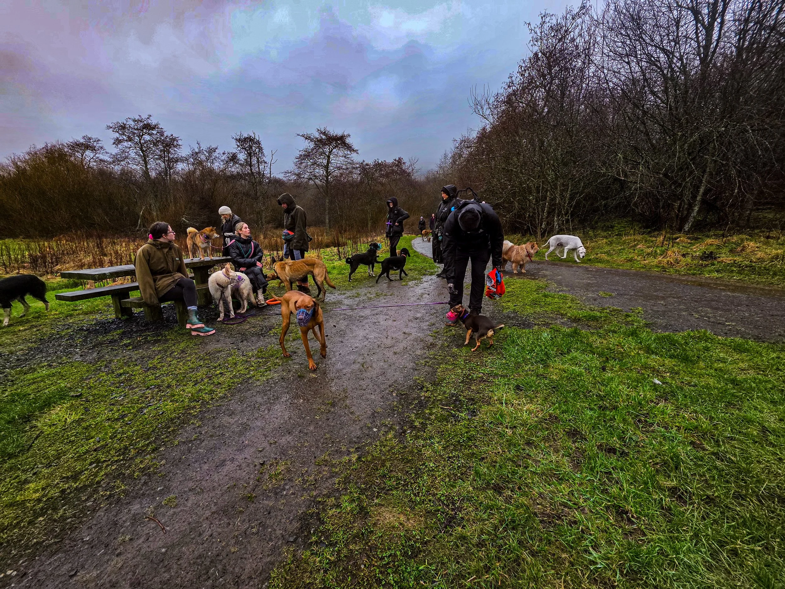 20260301_121318.jpg