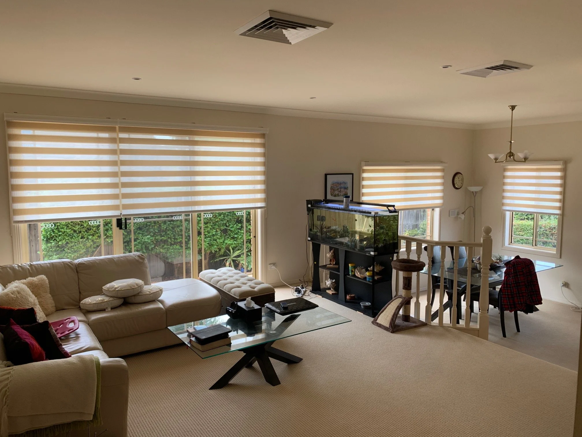 Dual Shade Blinds are perfect to transform your home or office