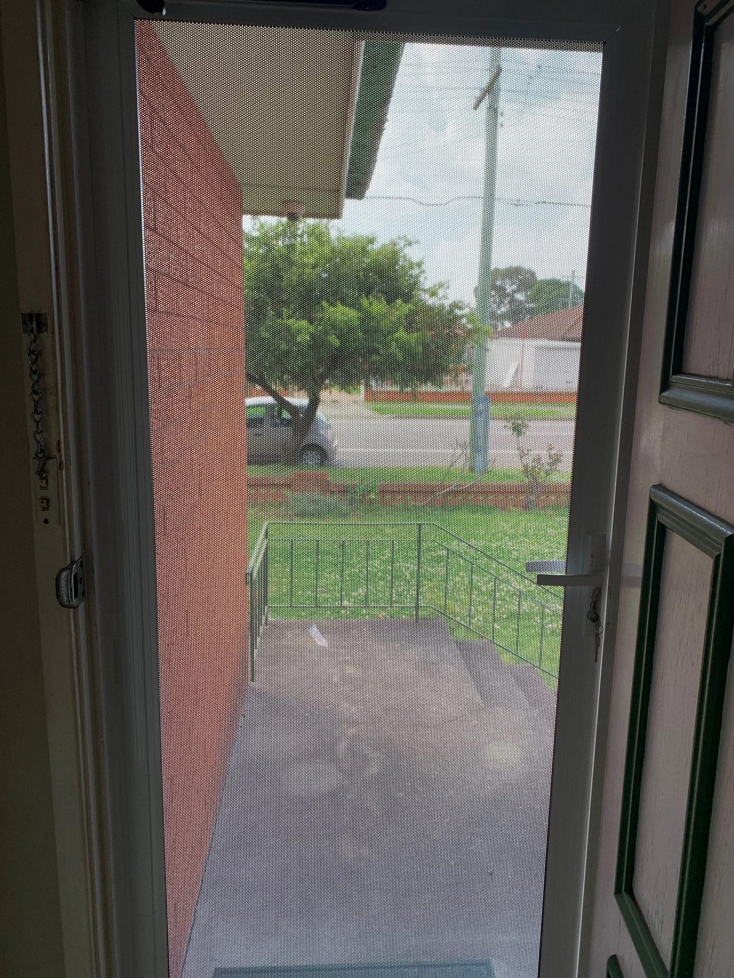 Intrudaguard Hinged Security Door in White