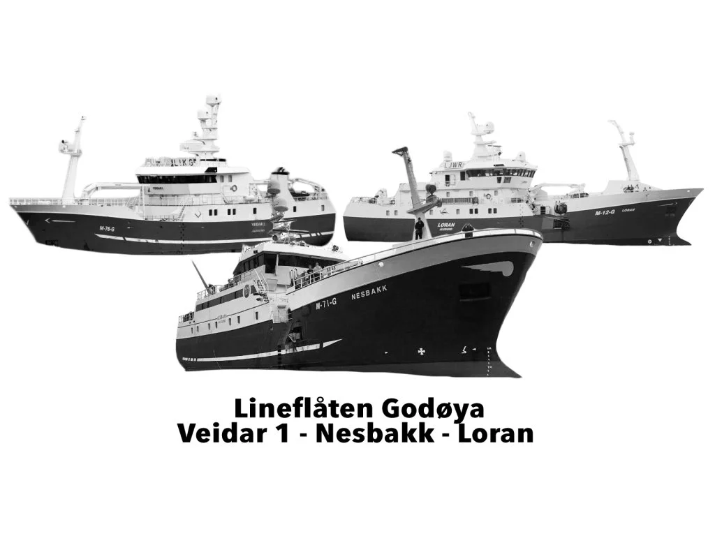 Lineflåten Godøya med båtane Veidar, Nesbakk og Loran