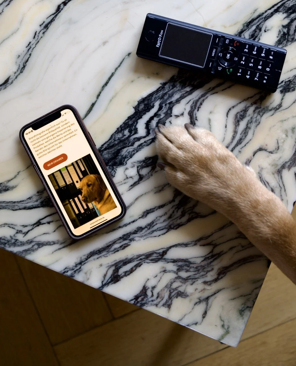 Ein Tablet mit einer Website, ein Mobiltelefon mit einer Website, ein Hundekralle auf einer Marmoroberfläche, eine Hand mit braunem Fell, ein alter schwarzer Festnetztelefon auf einem Marmor-Tisch.