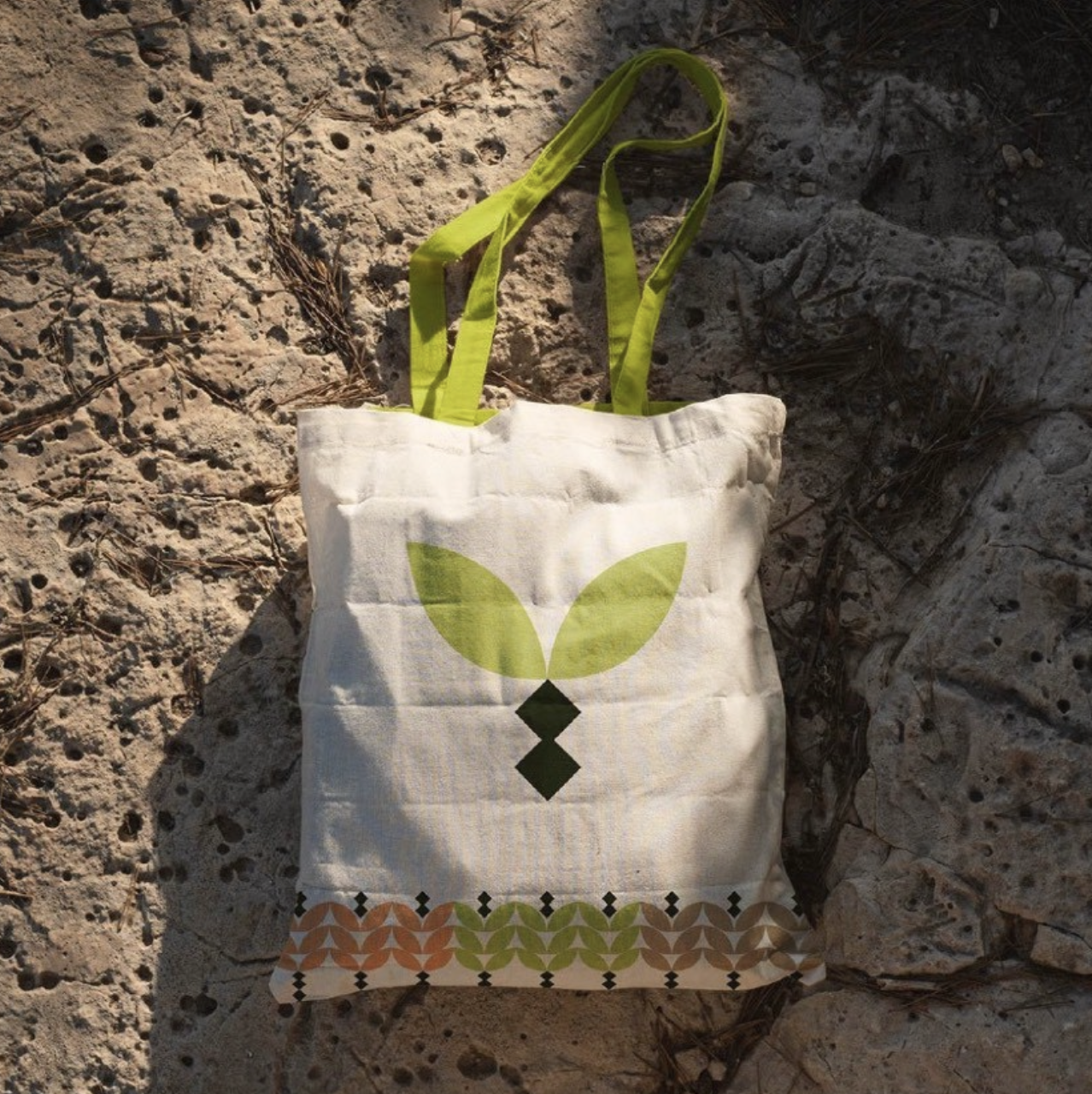 Screenshot 2026-03-19 at 9.11.52 PM.png