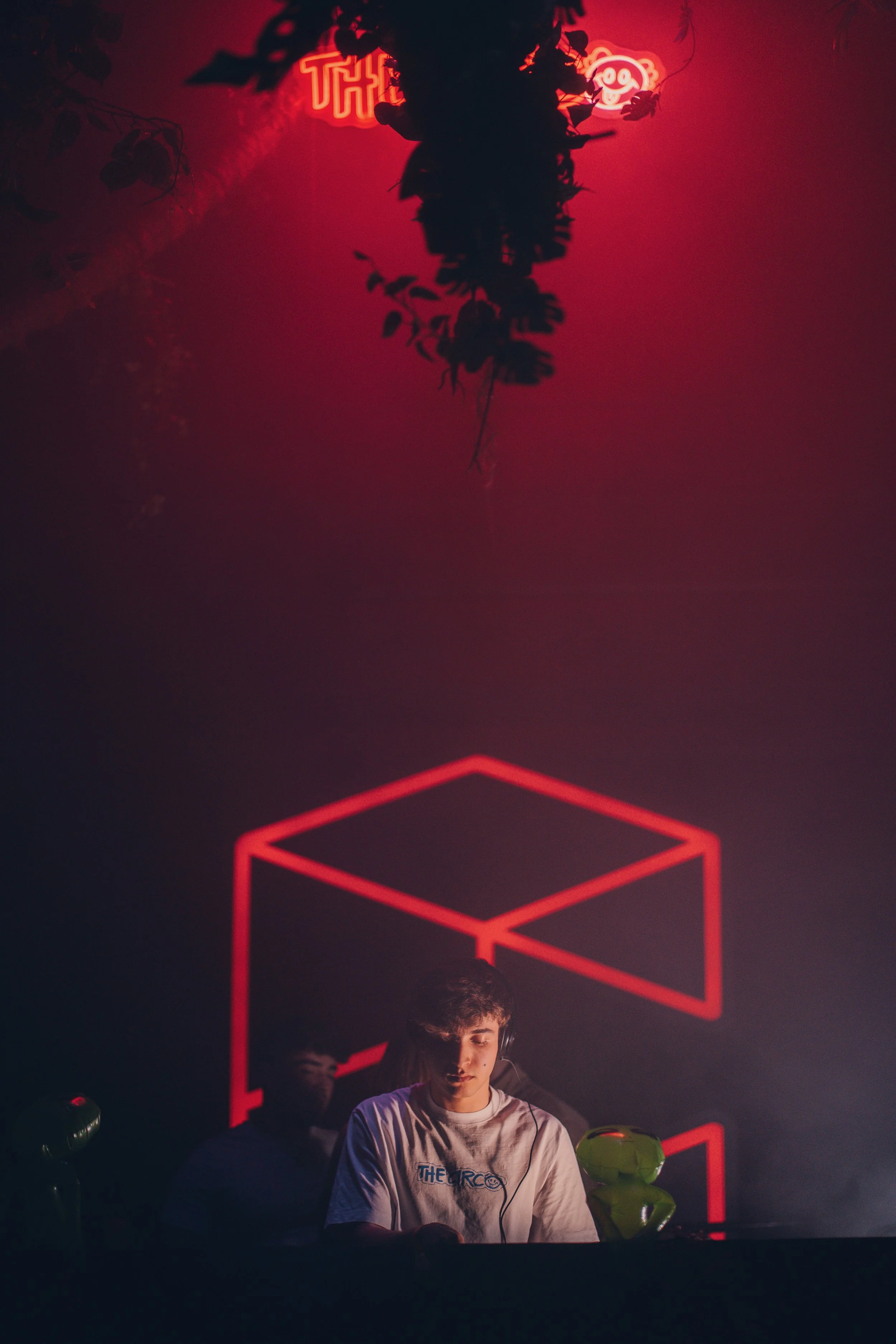 VAN03586VANDERPHOTO -COMPLEX.JUE5.jpeg