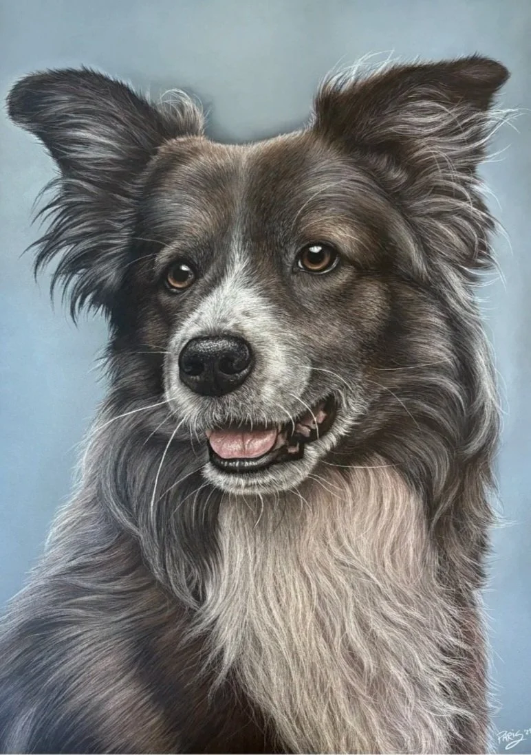 image3.jpg