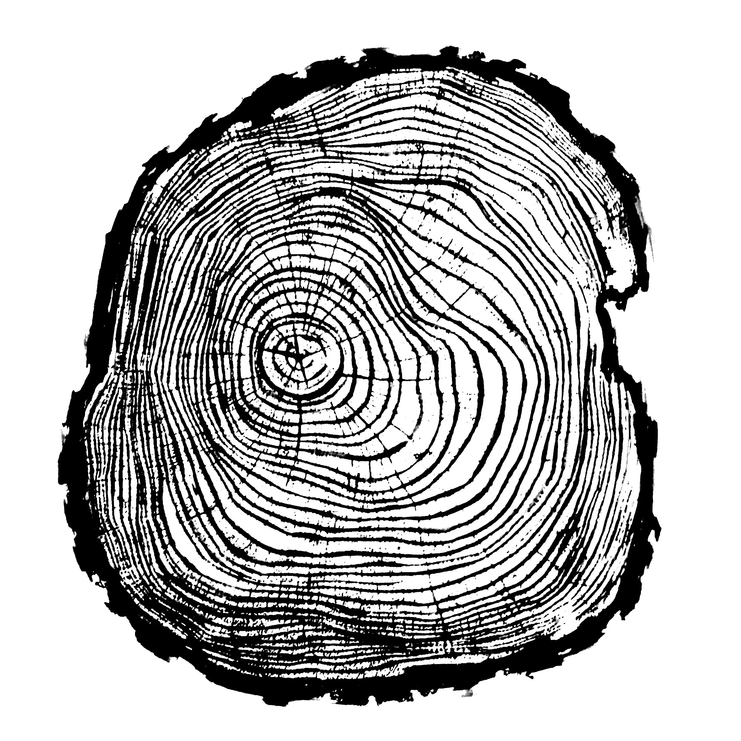 Ancient Future Now - Varela EP