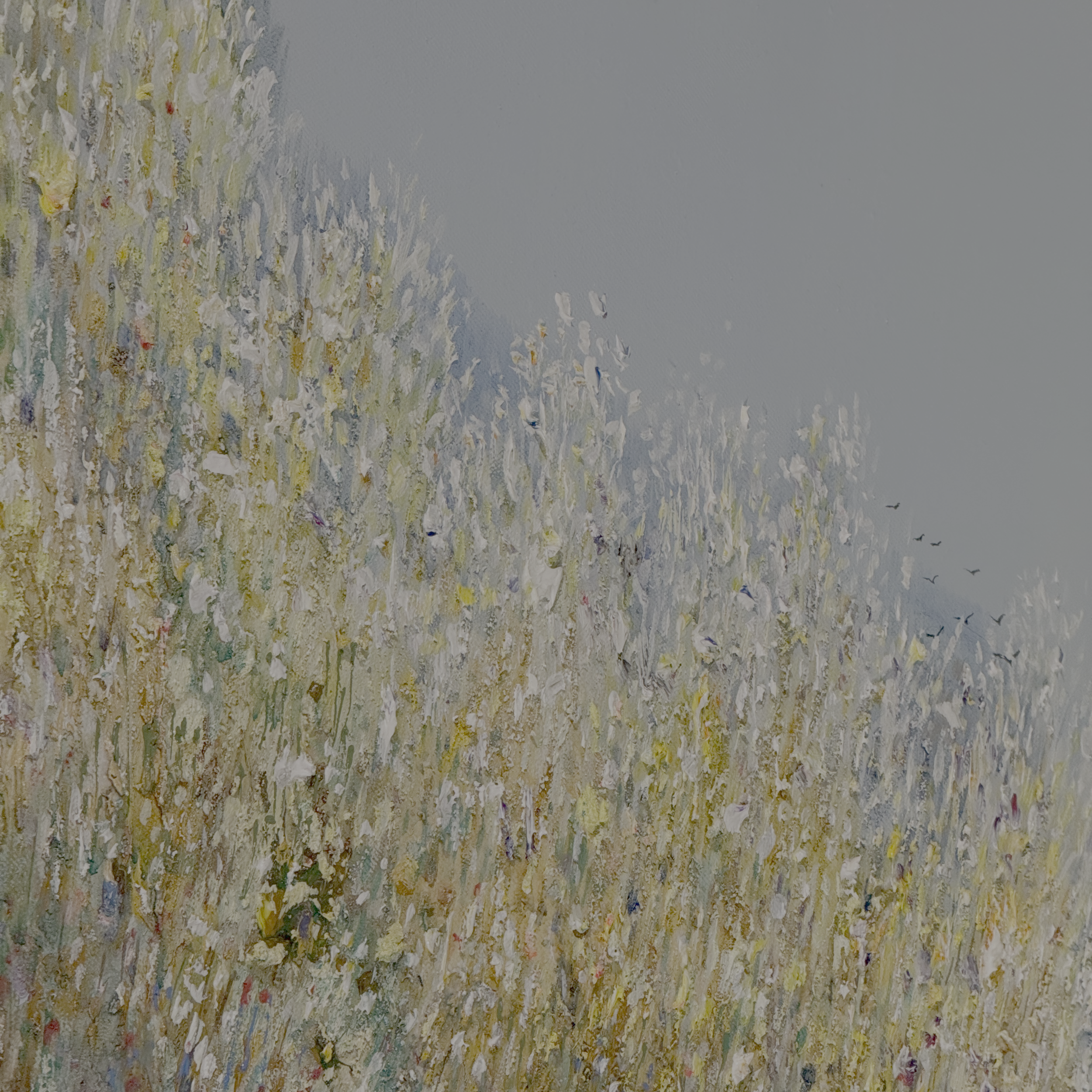 030-03-Silent Radiance.png
