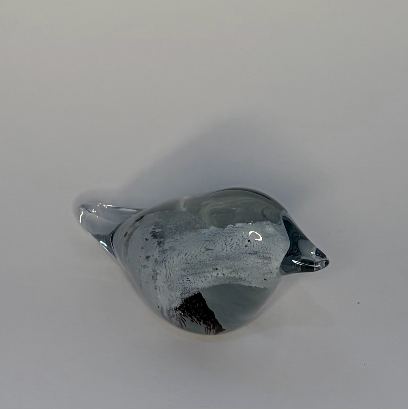 055-clear bird.jpeg