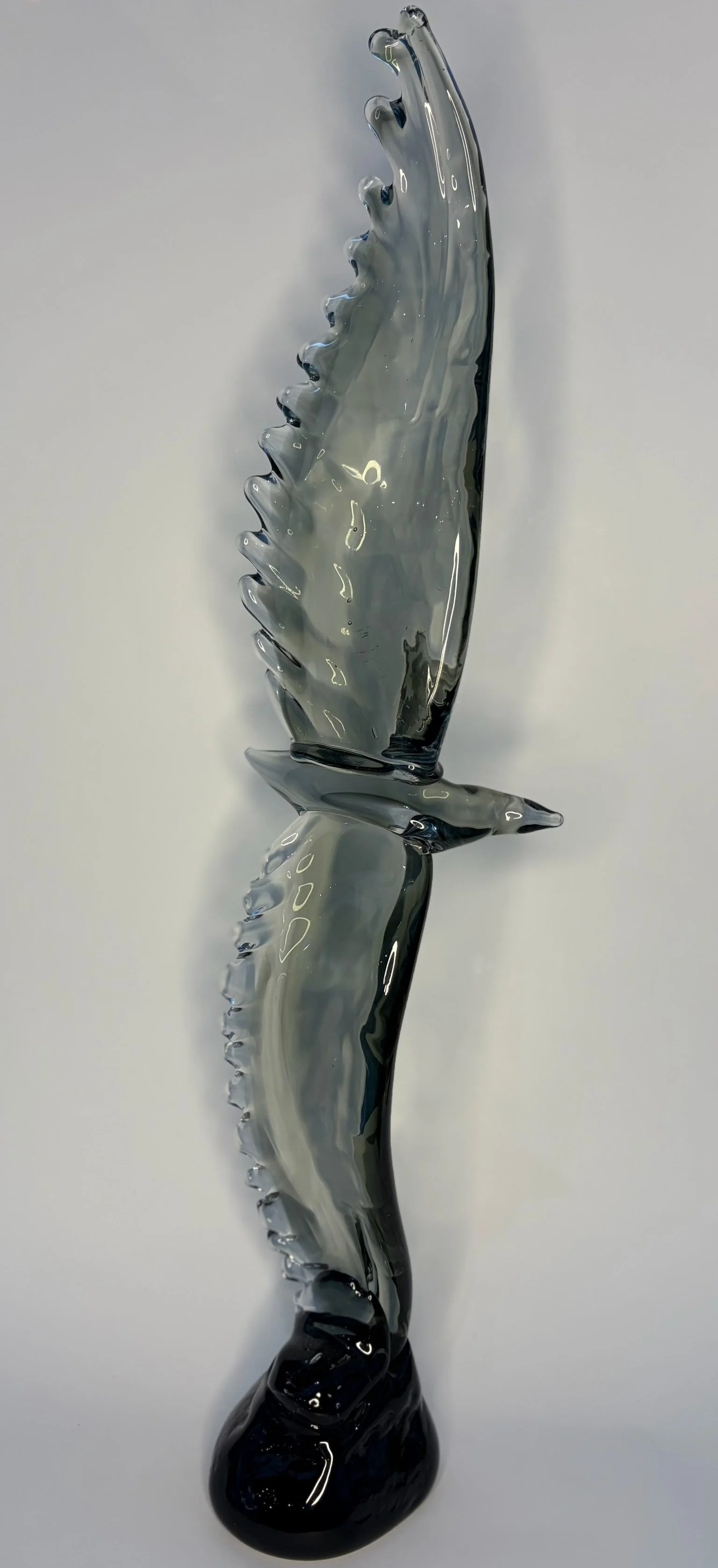 069-soaring bird.jpeg